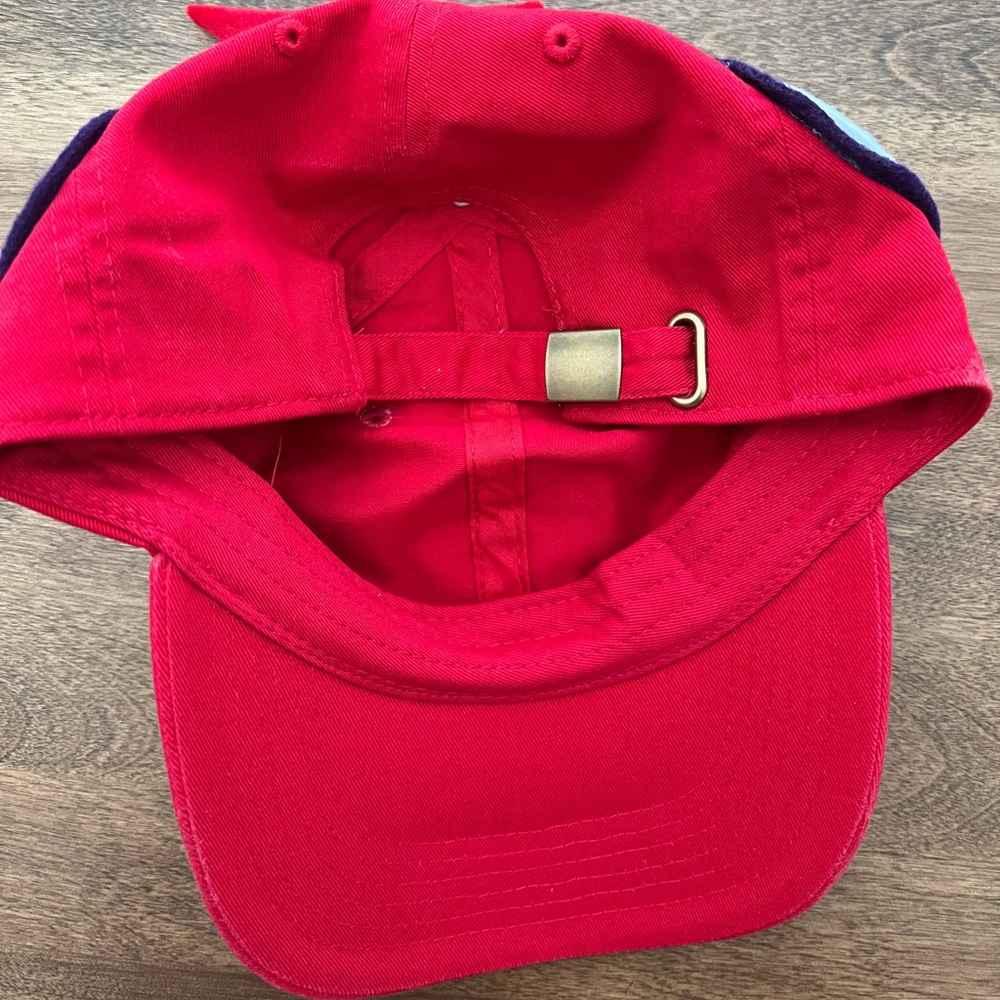 Chicken Hat - image 4